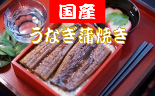 国産うなぎの蒲焼 約150g×5匹 国産 うなぎ 蒲焼き 5本 150g x 5匹 750g セット タレ 山椒 付き 国産うなぎ うなぎ蒲焼き うなぎ蒲焼 うな重 ひつまぶし 鰻 丑の日 土用の丑の日 冷凍 小分け 人気 年末年始 クリスマス プレゼント 高知県 安田町 TR-09