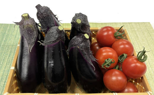 安田町の野菜 ナス トマト 少量セット 野菜 お試し セット 詰め合わせ ナス 5本トマト 150g x 2 300g 旬の野菜 季節野菜 やさい 国産 人気 季節 旬 新鮮 定番 人気 年末年始 クリスマス プレゼント 高知県 安田町 TR-15