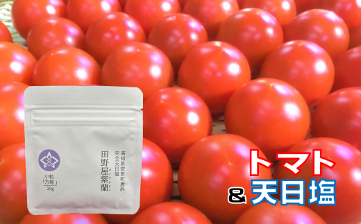 安田町産 完全天日塩 新鮮とトマト セット 先行受付 完熟 トマト と 完全天日塩 セット  産地直送 新鮮 もぎたて 塩職人 手作り 野菜 とまと 海水 塩 田野屋 紫蘭 人気 年末年始 クリスマス プレゼント 高知 安田町  TR-19