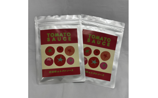 安田町 トマトソース 2袋 詰め合わせ トマトソース トマト ソース 2袋 詰合せ セット 詰め合わせ 野菜 冷凍 スープ パスタ ミートソース スパゲティ ハンバーグ 簡単 便利 時短 お手軽 濃厚 新鮮 人気 年末年始 クリスマス プレゼント 高知県 安田町 TR-24