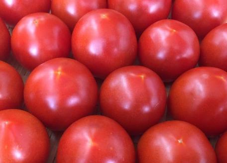 ANA1◆愛情たっぷり新鮮トマト2kg
