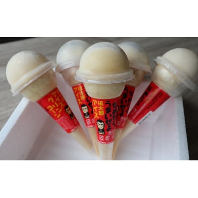 慎太郎アイスクリンコーン10個【配送不可地域：離島】