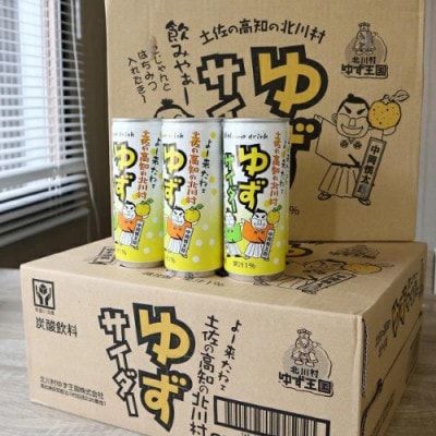 ゆずサイダー30本/1ケース【北川村ゆず王国】