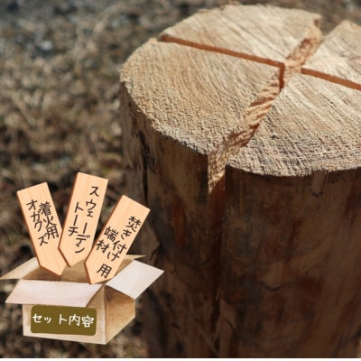 「いこいの里」のスウェーデントーチ　1本