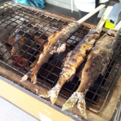 【令和8年6月より発送】天然あゆ　6匹【配送不可地域：離島】