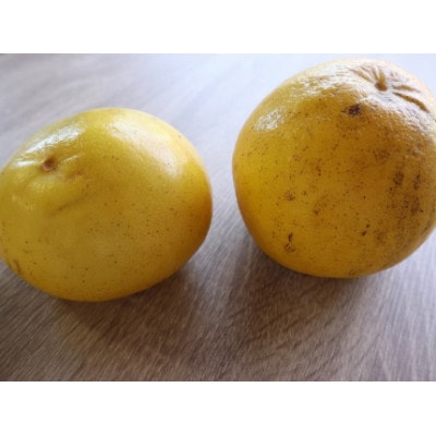 【規格外】北川村の文旦4kg