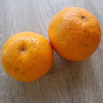 【規格外】北川村の八朔