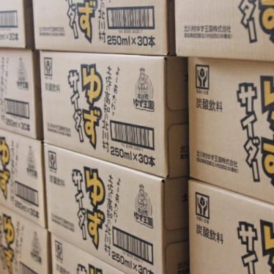 ゆずサイダー30本/1ケース【北川村ゆず王国】