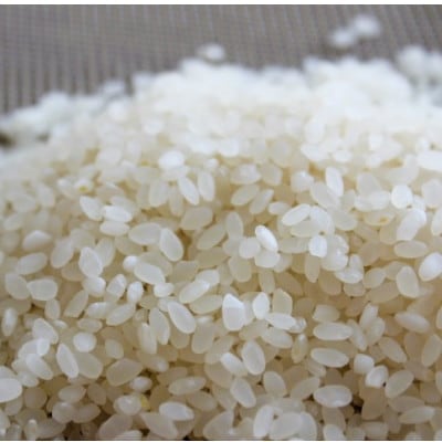 北川村の米〈維新の風〉[5kg×1袋]