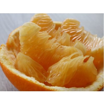 【規格外】北川村の八朔