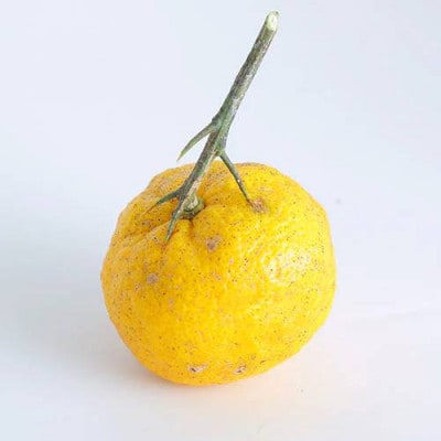 北川村ゆず果汁「実生」300ml×3本【配送不可地域：離島】