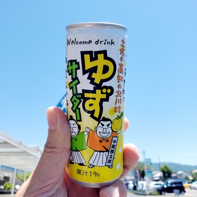 【毎月定期便】ゆずサイダー30本/1ケース全6回