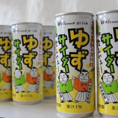 ゆずサイダー30本/1ケース【北川村ゆず王国】