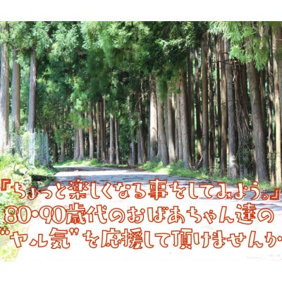 「いこいの里」のスウェーデントーチ　1本