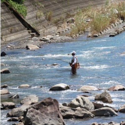 【令和8年6月より発送】天然あゆ　6匹【配送不可地域：離島】