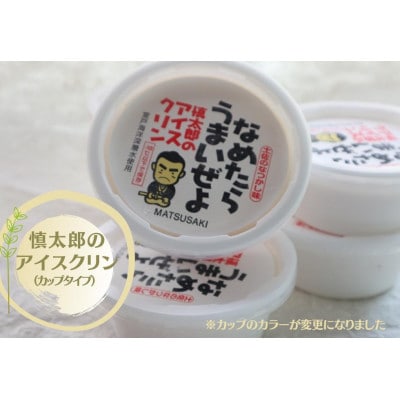 慎太郎アイスクリンカップ10個【配送不可地域：離島】