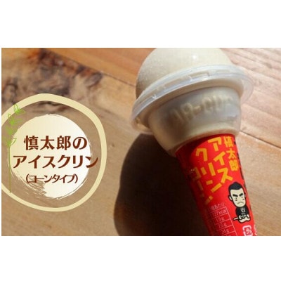 慎太郎アイスクリンコーン10個【配送不可地域：離島】