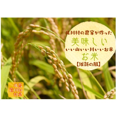 北川村の米〈維新の風〉[5kg×1袋]