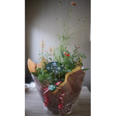 【母の日用】北川村モネの庭から季節の寄せ鉢