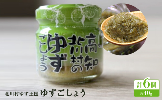 【2026年1月末発送】ゆずごしょう6個【北川村ゆず王国】