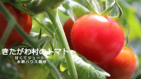 北川村のトマト 2kg