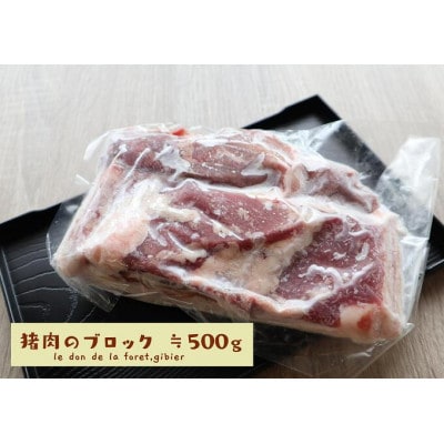 いのしし肉(ブロック)約500g[土佐の里山グループLLC][配送不可地域:離島]