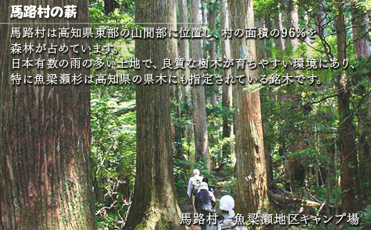 乾燥薪20ｋｇ 広葉樹 焚き木 燃料 マキストーブ