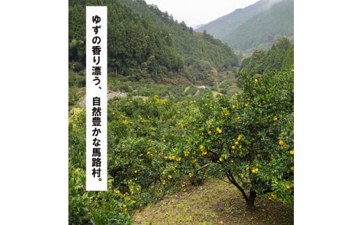 【朝日出山ぽん酢/360ml×2本】 ポン酢 ぽん酢 ゆずポン酢 ゆ