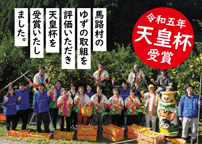 柚子皮のお菓子 ゆずグラッセ／35g×10個入 おやつ