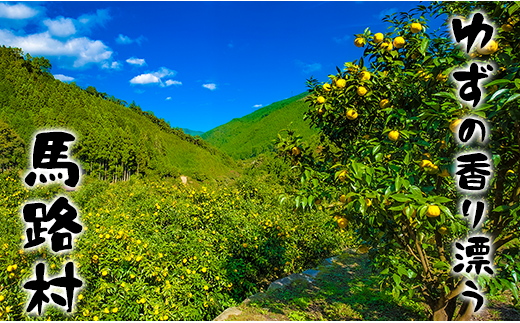 【のーがえいぽん酢/360ml×2本】ポン酢 ぽん酢 ゆずポン酢 