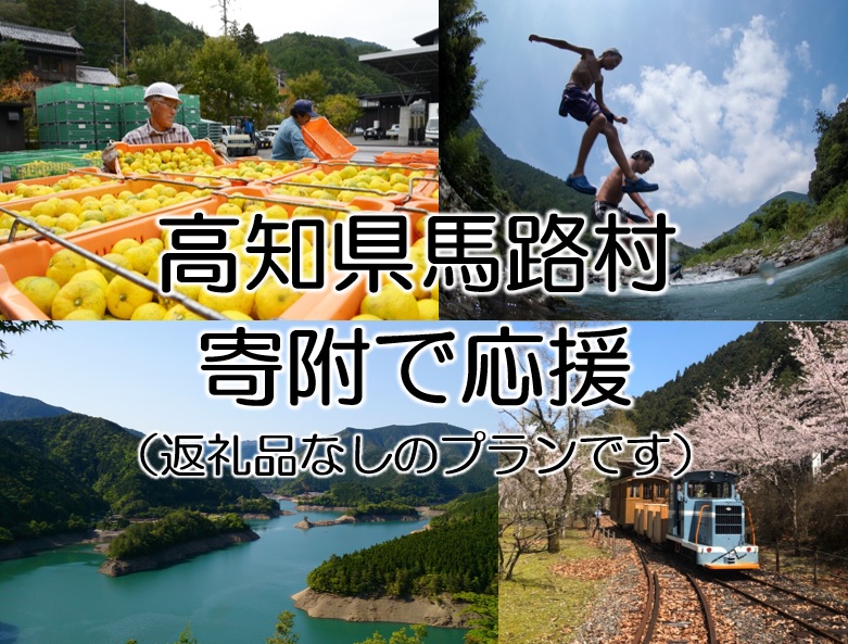 【寄附のみ】 寄附で高知県馬路村を応援（返礼品はござい