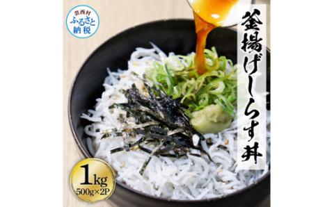 高知県産釜揚げしらす500g×2パック 1kg 1キロ 簡易梱包 シラス 小分け 国産 釜揚げ しらす丼 海鮮丼 お茶漬け ごはん 軍艦巻き  手巻き寿司 ご飯 雑炊 冷奴 冷凍配送 おかず おつまみ: 芸西村ANAのふるさと納税