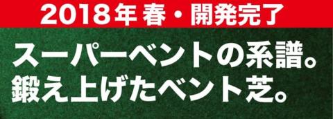 【ふるさと納税】 ゴルフ練習パターマット 高速90cm×7m TOURNAMENT-SB（トーナメントSB）と練習用具（距離感マスターカップ、まっすぐぱっと、トレーニングリング付き） 練習 ゴルフ用品 - 90cm×7ｍ