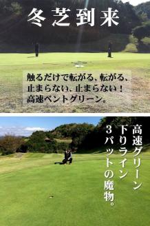 ゴルフ練習用・最高速EXPERTパターマット45cm×5mと練習用具（距離感マスターカップ、まっすぐぱっと、トレーニングリング付き）（土佐カントリークラブオリジナル仕様）【TOSACC2019】〈高知市共通返礼品〉 - 45cm×5ｍ