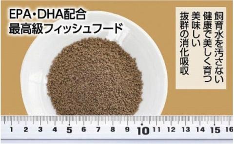 土佐姫 C 120g 当歳魚用 ＜最高級 フィッシュフード EPA・DHA配合 沈降性 金魚 餌＞ 土佐錦 琉金 和金 地金 コメット【餌 えさ エサ】【観賞魚 餌やり】【水槽/熱帯魚/観賞魚/飼育】【生体】【アクアリウム/あくありうむ】