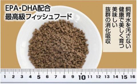 GROW E クランブル 160g 中型熱帯魚用 ＜最高級 フィッシュフード EPA・DHA配合 沈降性 クランブルタイプ 魚 餌＞ プレコ 中型魚【餌 えさ エサ】【観賞魚 餌やり】【水槽/熱帯魚/観賞魚/飼育】【生体】【アクアリウム/あくありうむ】