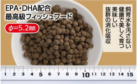 GROW F ペレット 330g 大型熱帯魚用 ＜最高級 フィッシュフード EPA・DHA配合 ペレットタイプ 沈降性 魚 餌＞【餌 えさ エサ】【観賞魚 餌やり】【水槽/熱帯魚/観賞魚/飼育】【生体】【アクアリウム/あくありうむ】