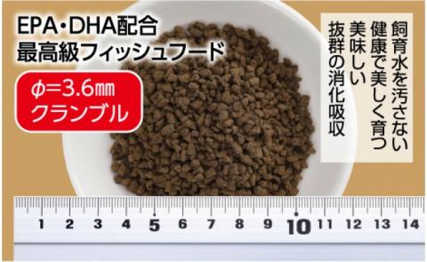 Σシグマ GROW E クランブル 170g 中型海水魚用 ＜最高級 フィッシュフード EPA・DHA配合 クランブルタイプ 沈降性 魚 餌＞【餌 えさ エサ】【観賞魚 餌やり】【水槽/熱帯魚/観賞魚/飼育】【生体】【アクアリウム/あくありうむ】