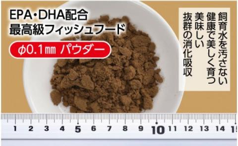 らんちう貴族S 50g ふ化稚魚用 ＜最高級 フィッシュフード EPA・DHA配合 パウダータイプ らんちゅう 金魚 餌＞【餌 えさ エサ】【観賞魚 餌やり】【水槽/熱帯魚/観賞魚/飼育】【生体】【アクアリウム/あくありうむ】