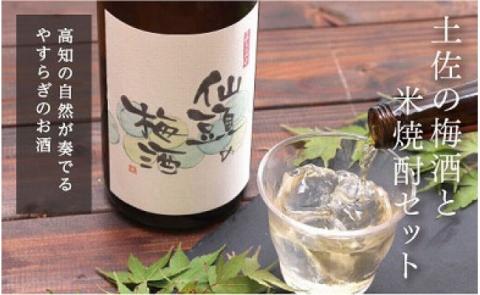 コロナ 緊急支援 土佐の梅酒と米焼酎セット 各720ml ＜高知 芸西村 仙頭酒造場 梅酒 焼酎 土佐 しらぎく＞