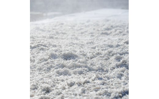 釜あげしらす 1kg 1キロ タレ付き 500g×2袋 シラス 小分け おじゃこ ちりめんじゃこ ふわふわ 国産 釜揚げ しらす丼 海鮮丼 ごはん ご飯 おにぎり おかず おつまみ お取り寄せ 美味しい - 500g×2