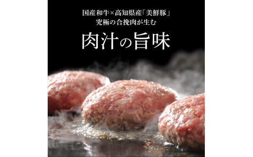 1/1～寄附額変更 食べ比べ！老舗レストランの国産牛・美鮮豚ハンバーグ130g×6ケ＋ソース3種各1袋 ハンバーグ セット 12000円 トマトソース デミグラス 牛肉 豚肉 和牛 美味しい おいしい 小分けパック 個包装 冷凍 故郷納税