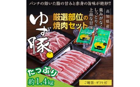 【高知のブランド豚/ゆず豚】厳選部位の焼肉セット（約1.4kg）- 焼肉用 肩ロース500g バラ500g ソーセージ5本入り×2P BBQ やきにく 焼き肉 ソーセージ 豚肉 国産 詰め合わせ セット ギフト・熨斗対応可 贈答