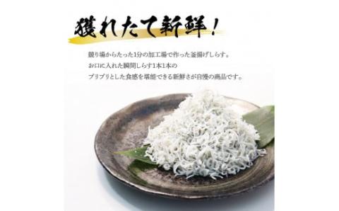 高知県産釜揚げしらす（50g×8パック）シラス 小分け 国産 無添加 釜揚げ しらす丼 海鮮丼 ゆずつき お茶漬け ごはん 軍艦巻き 寿司 8人前 冷凍 高知県 返礼品 7000円 - 50g×8