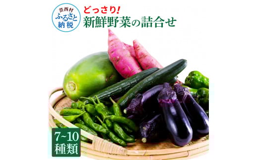 【先行予約】どっさり！新鮮野菜の詰合せ 7～10種類 ピーマン 茄子 なす ナス おまかせ 特産品 野菜 やさい 野菜セット おかず 健康 新鮮 詰め合わせ お楽しみ お取り寄せ 通販