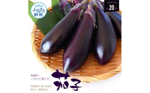 【先行予約】茄子（1本約70g）約20本入り - 高知県産 芸西村 ナス なす 野菜 新鮮 お取り寄せ 美味しい 煮浸し 味噌汁 麻婆茄子 料理 ふるさとのうぜい 故郷納税 6000円 返礼品 高知県 高知