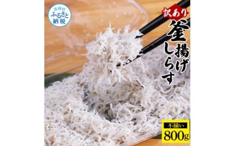 訳あり 釜揚げしらす 800g しらす シラス 釜揚げ 新鮮 塩分控えめ 赤ちゃん 子供 離乳食 わけあり ワケあり 不揃い しらす丼 海鮮丼 お茶漬け ごはん 冷凍配送 海鮮 - 800g