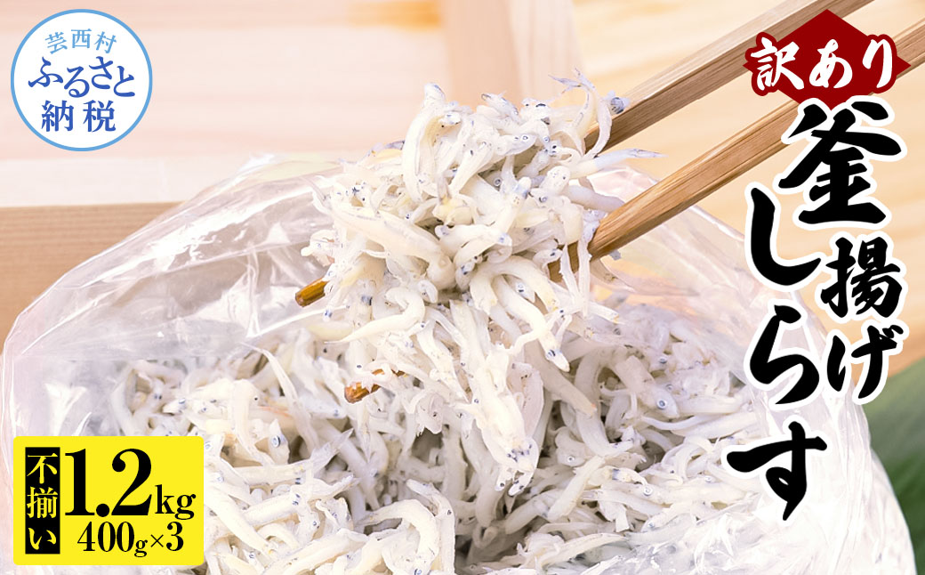 訳あり釜揚げシラス400g×3個 高知県産 釜揚げしらす 簡易梱包 わけあり 不揃い シラス 国産 釜揚げ 新鮮 しらす丼 海鮮丼 お茶漬け 冷凍配送 塩分控えめ お取り寄せ - 400g×3P