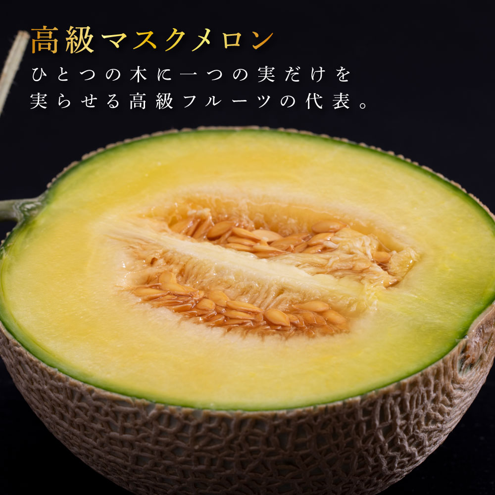 “高知県産”高級マスクメロン（ご家庭用）2玉入【発送期間：4月～12月（9カ月）】【1月～3月は気候温度不安定の為出荷不可となります。】