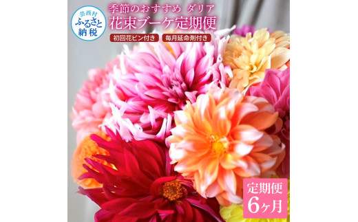《6ヵ月定期便》 ダリア 花束 初回花瓶付 定期便 定期コース 全6回 延命剤付き ラッピング 花びん 生花 花束 ブーケ 花 お花 おすすめ 可愛い キレイ おしゃれ 自宅 職場 ギフト